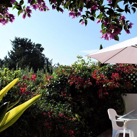 Townhouse In Paradise Gardens Paphos Buitenkant foto